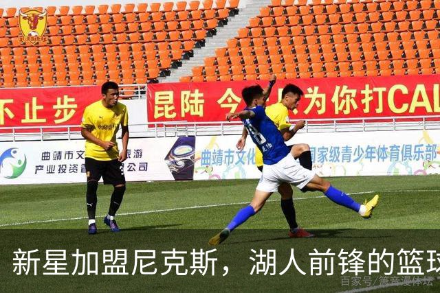 新星加盟尼克斯，湖人前锋的篮球奇遇记！